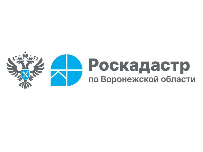 С начала 2025 года в ЕГРН внесено 18 зон подтопления и затопления.