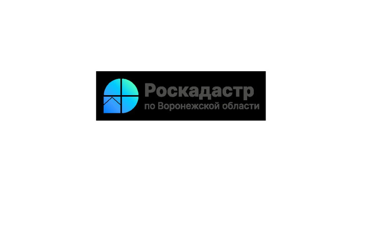 Все территориальные зоны Воронежской области, установленные ПЗЗ,  внесены в ЕГРН.