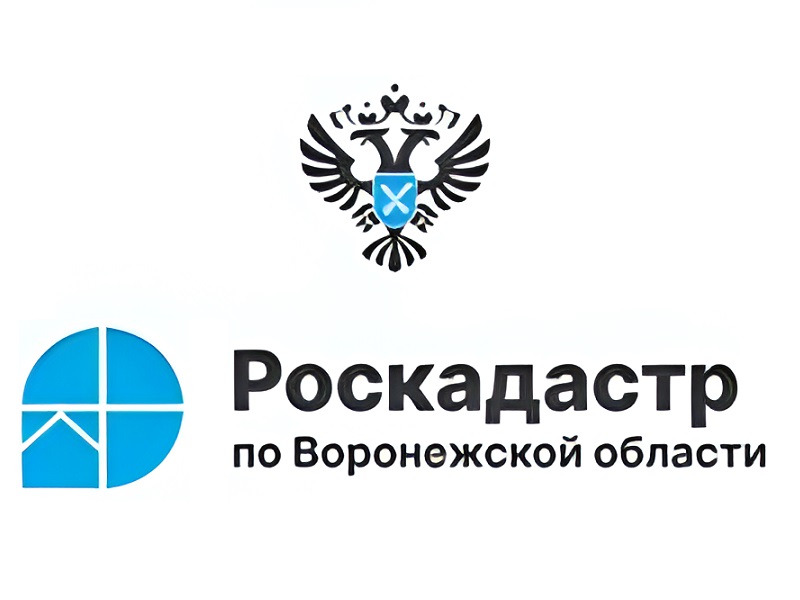 Информация о деятельности филиала публично-правовой компании «Роскадастр» по Воронежской области.