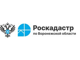 Региональный Роскадастр составил топ-5 вопросов о выписках из ЕГРН. Региональный Роскадастр составил топ-5 вопросов о выписках из ЕГРН.
